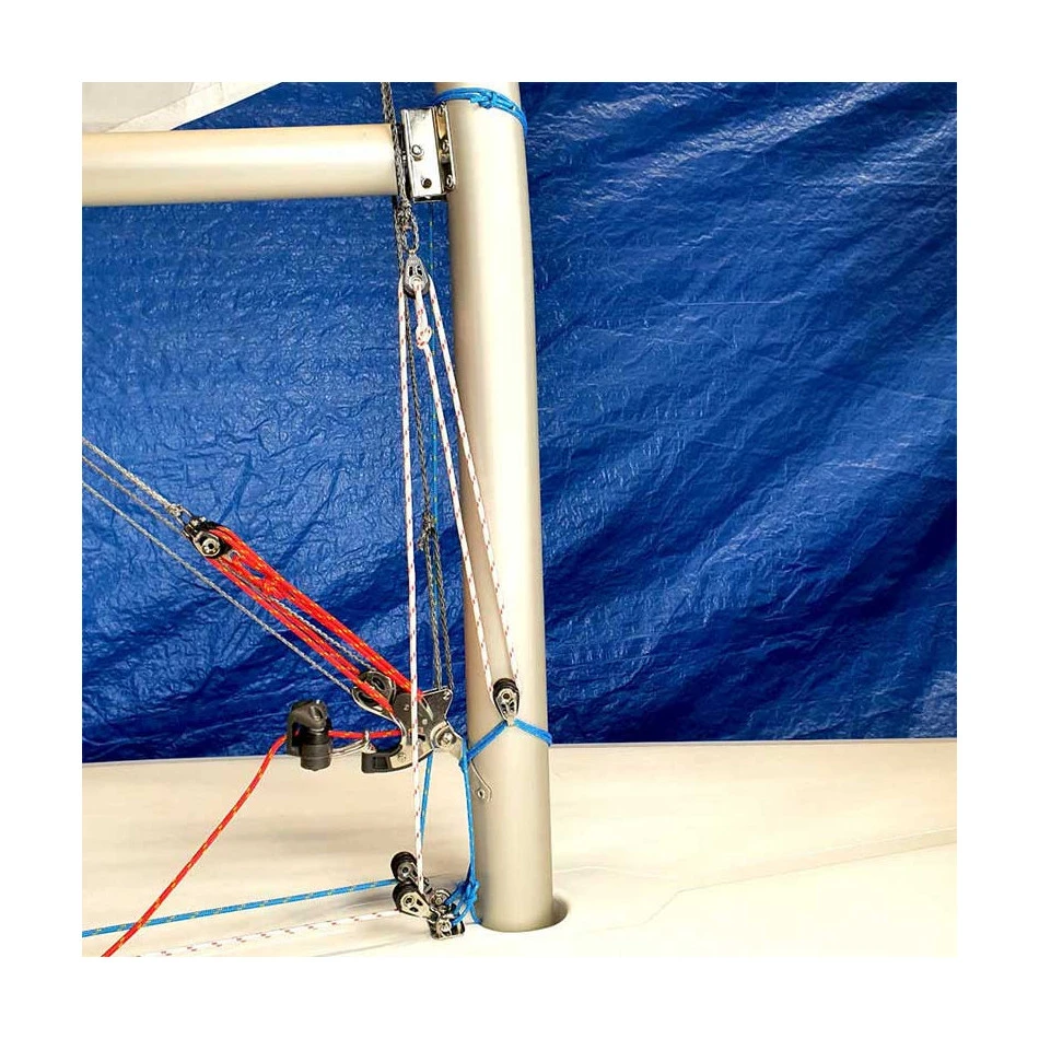 Bordure Cunningham Allen Pour Laser 4 Bordure Cunningham Allen Pour Laser – Image 2